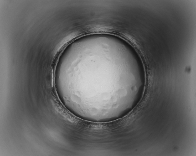 X0000115621219200911241616