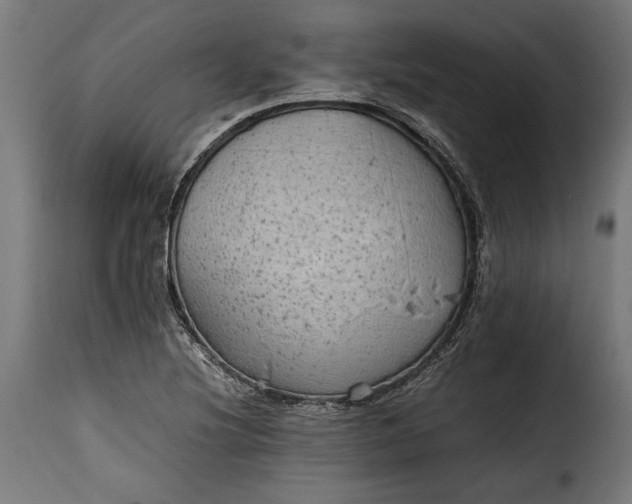 X0000115621220200911241616