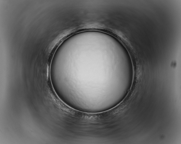 X0000115621221200911241616