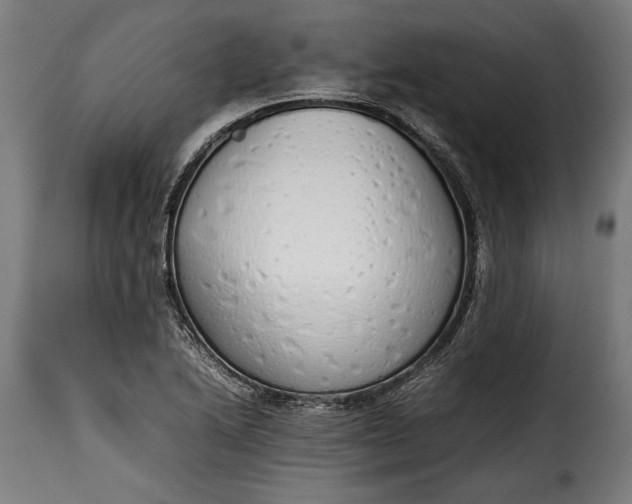 X0000115621222200911241616