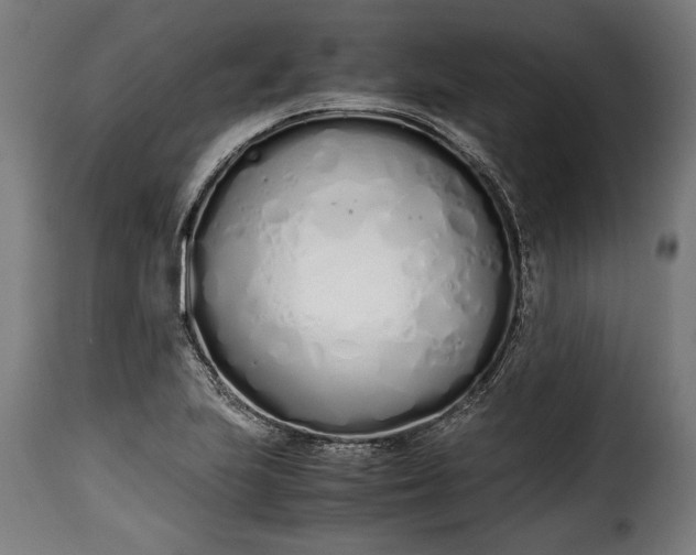 X0000115621223200911241616