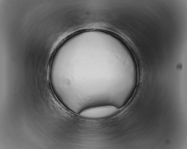 X0000115621224200911241616