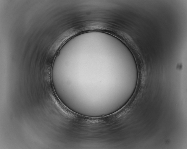 X0000115621225200911241616