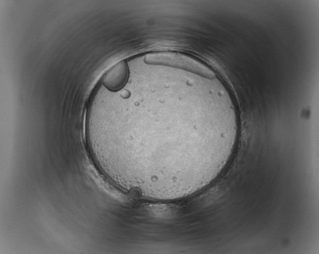 X0000115621227200911241616