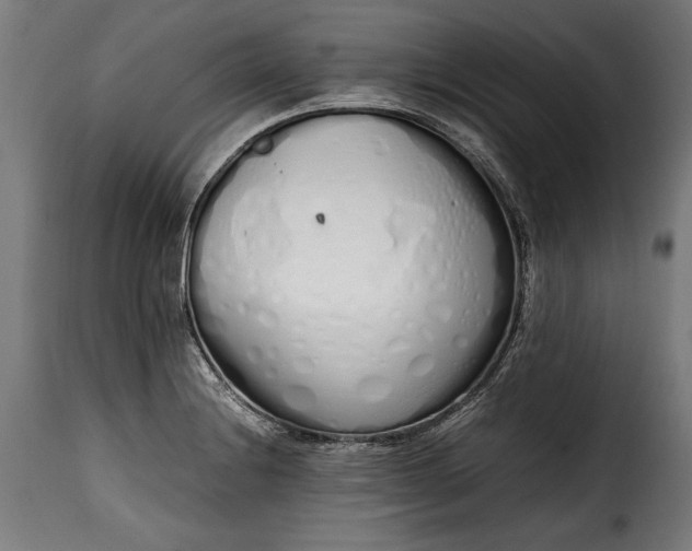 X0000115621228200911241616