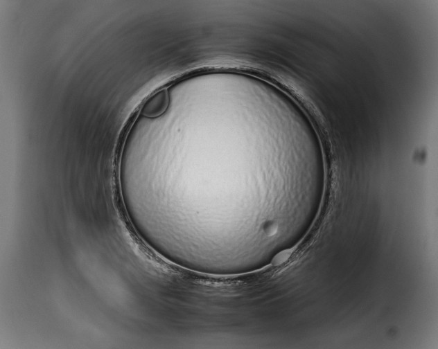 X0000115621229200911241616