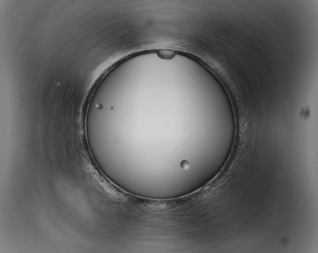 X0000115621230200911241616