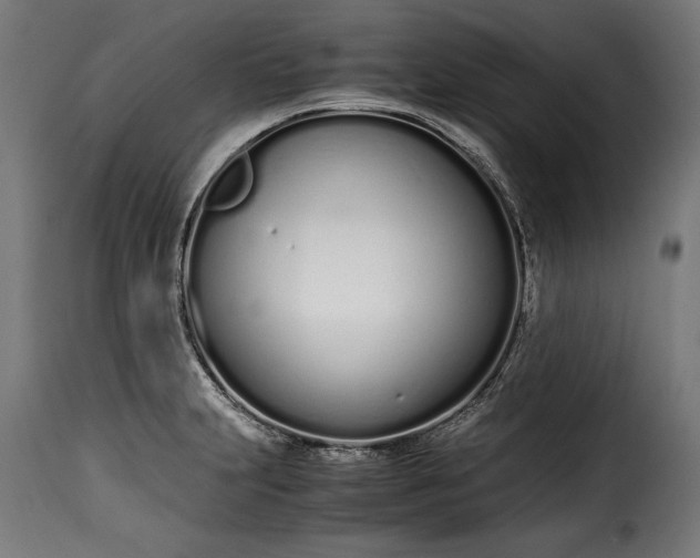 X0000115621231200911241616