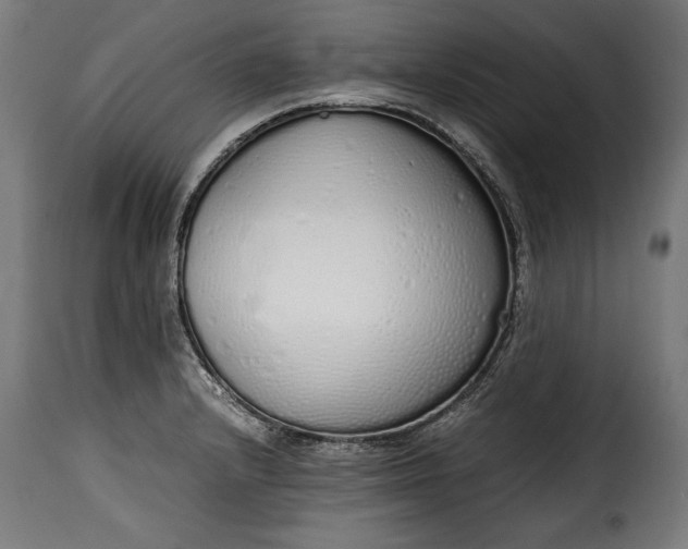 X0000115621232200911241616