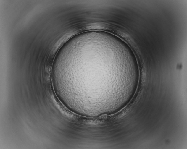 X0000115621233200911241616