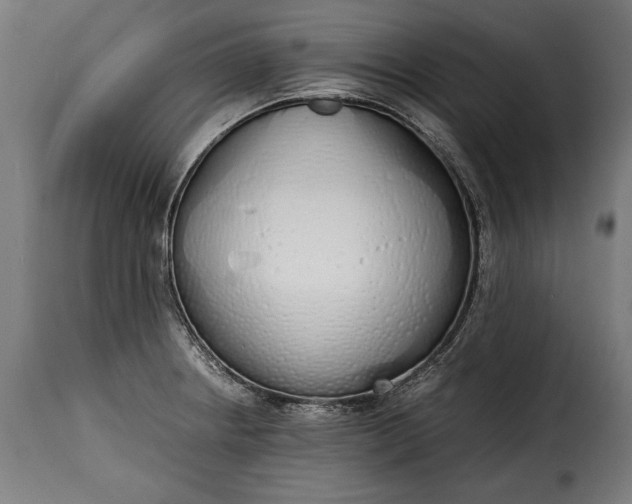 X0000115621234200911241616