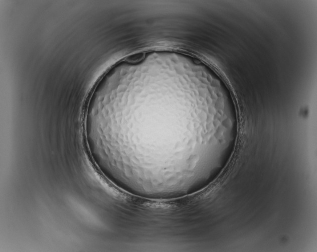 X0000115621235200911241616