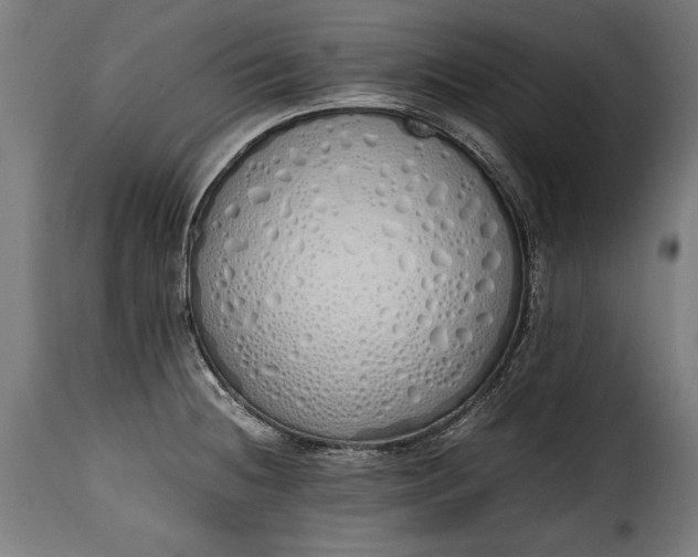 X0000115621236200911241616