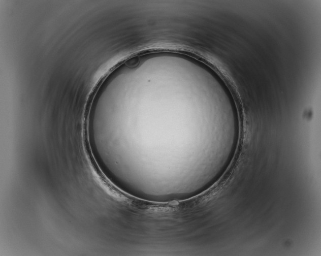 X0000115621237200911241616