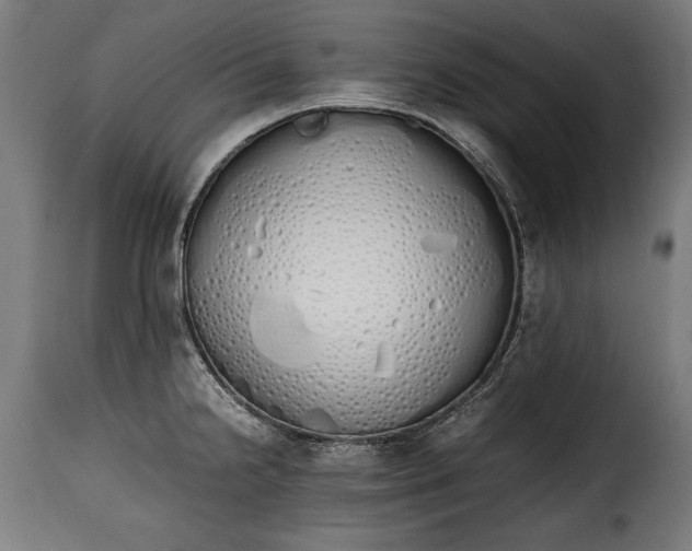 X0000115621238200911241616