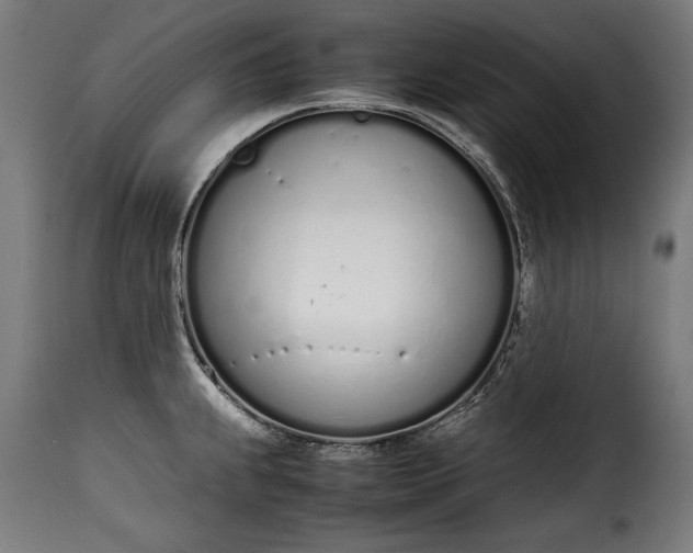 X0000115621239200911241616