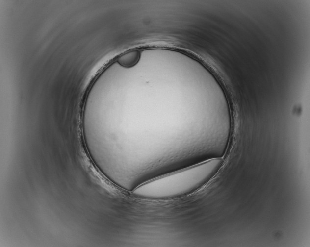 X0000115621240200911241616