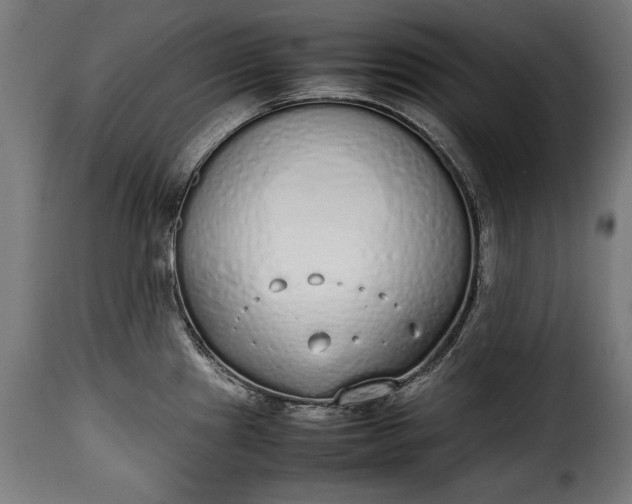 X0000115621241200911241616