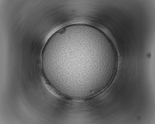 X0000115621242200911241616