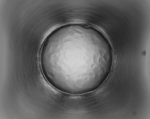 X0000115621243200911241616