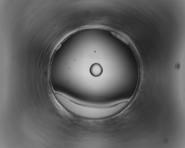 X0000115621244200911241616