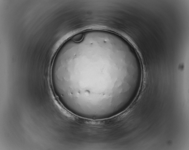 X0000115621245200911241616