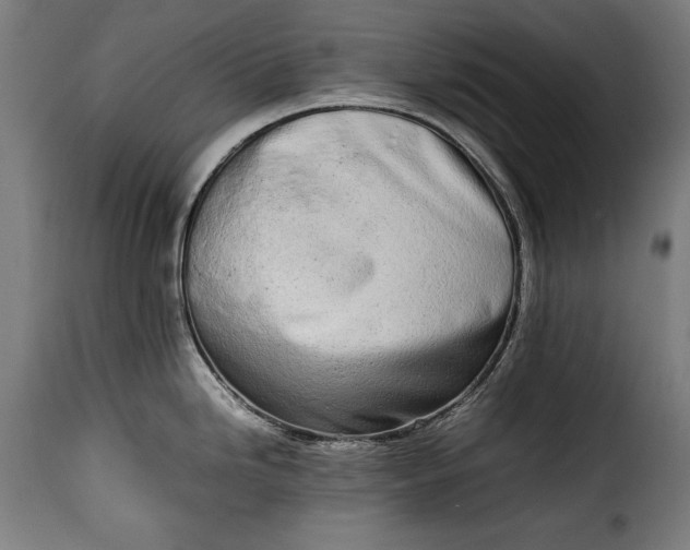 X0000115621246200911241616