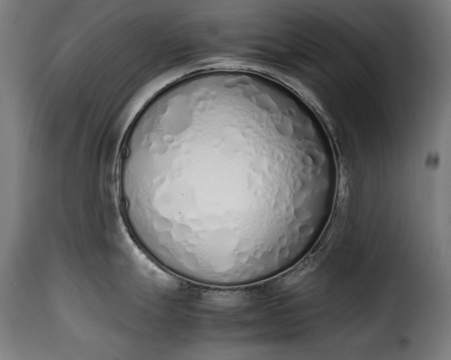 X0000115621247200911241616