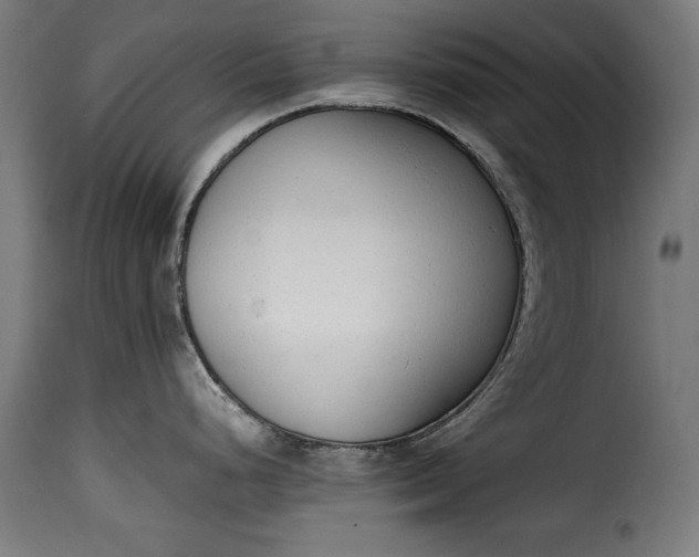 X0000115621248200911241616