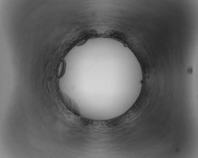 X0000115621249200911241616