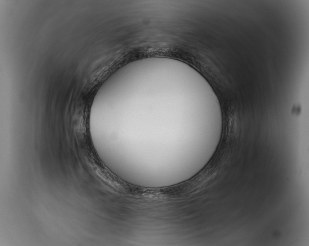 X0000115621250200911241616