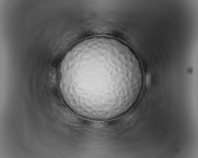 X0000115621251200911241616