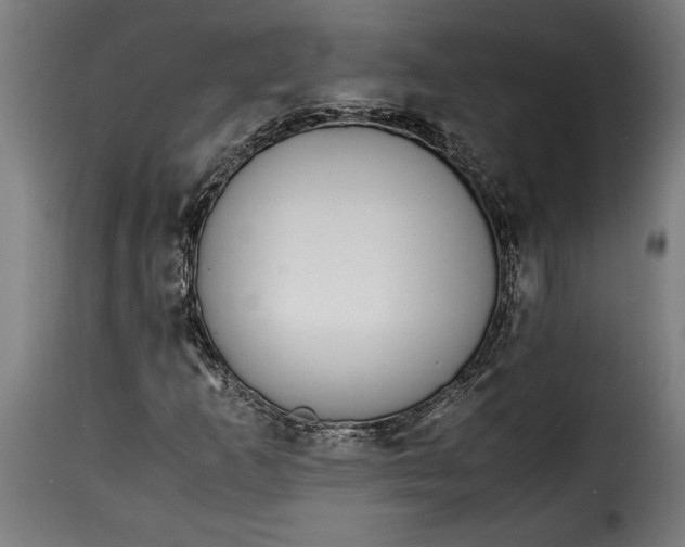 X0000115621253200911241616