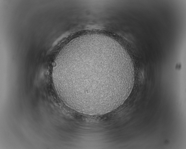 X0000115621254200911241616