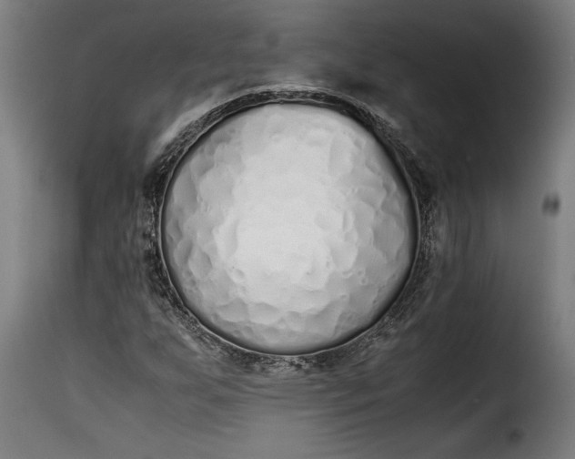 X0000115621255200911241616