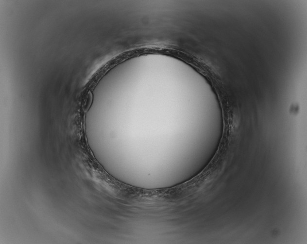 X0000115621256200911241616