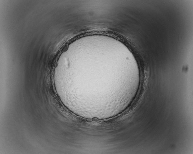 X0000115621257200911241616