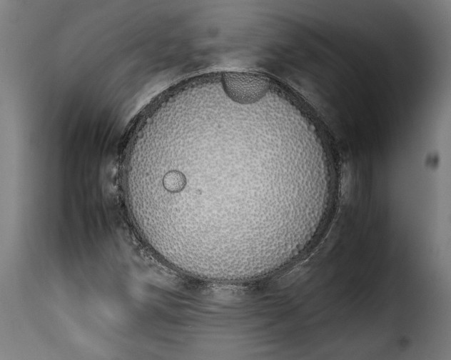 X0000115621258200911241616