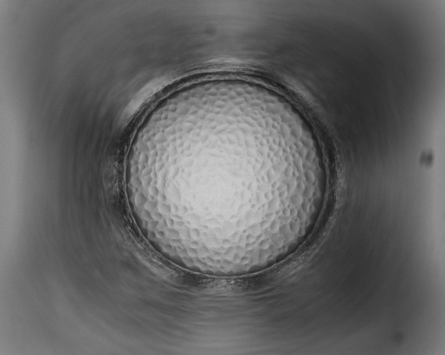 X0000115621259200911241616