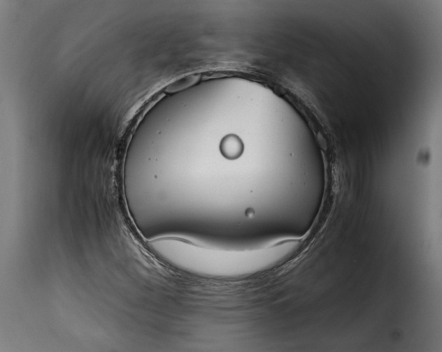 X0000115621260200911241616