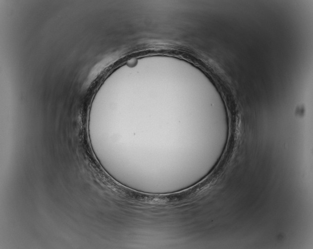 X0000115621261200911241616