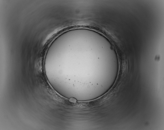 X0000115621262200911241616