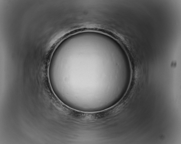 X0000115621263200911241616