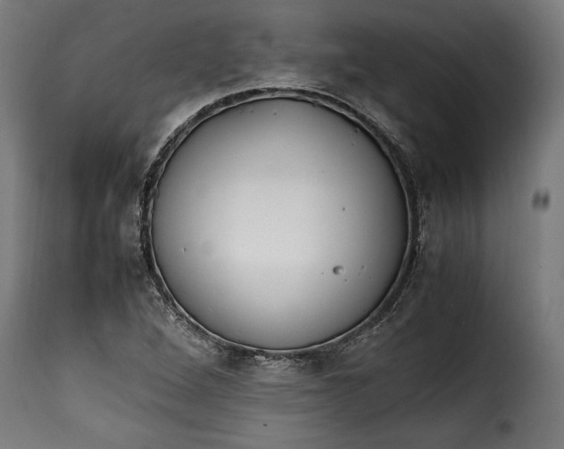 X0000115621264200911241616