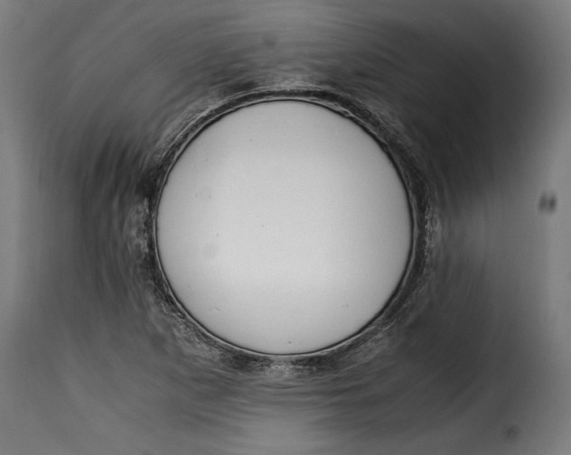 X0000115621265200911241615