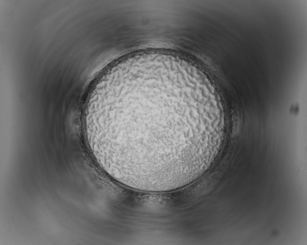 X0000115621266200911241615