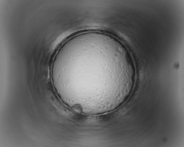 X0000115621267200911241615