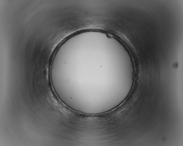 X0000115621268200911241615