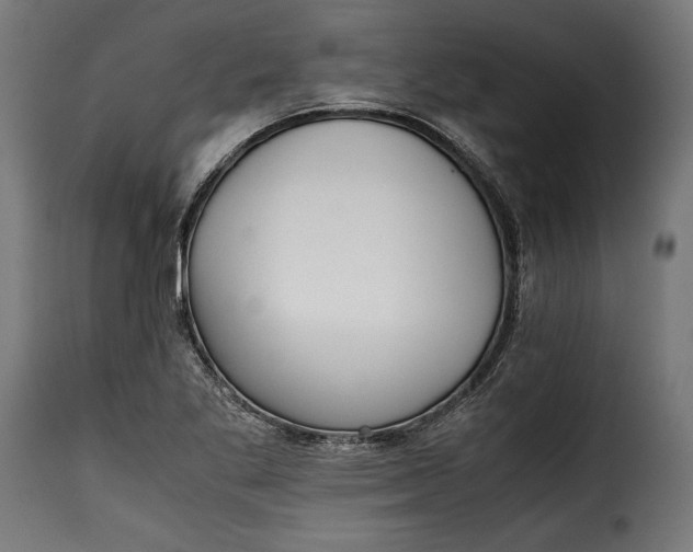 X0000115621269200911241615