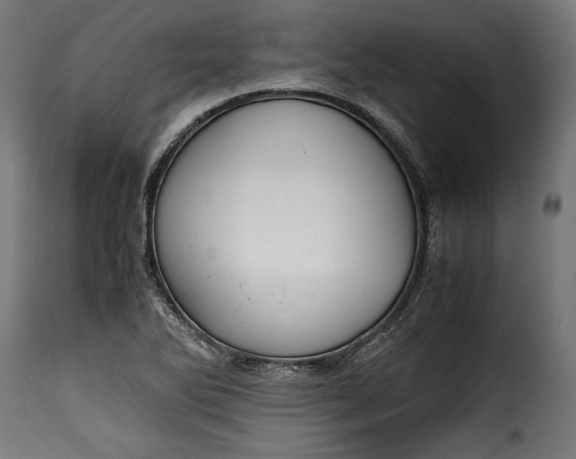 X0000115621270200911241615